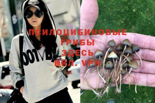 мяу мяу кристалл Ельня