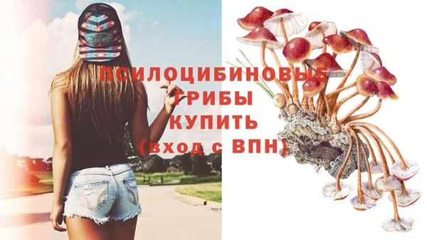 прущий лед Елизово