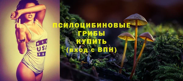 мяу мяу кристалл Ельня