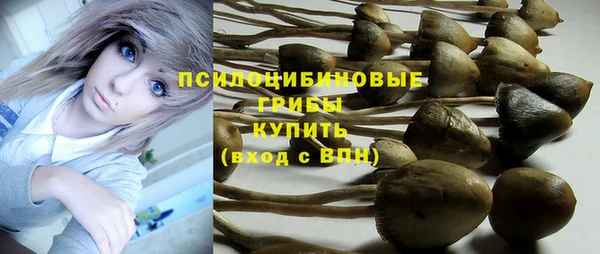 прущие крисы Елабуга